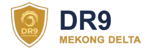 DR9 Kế toán